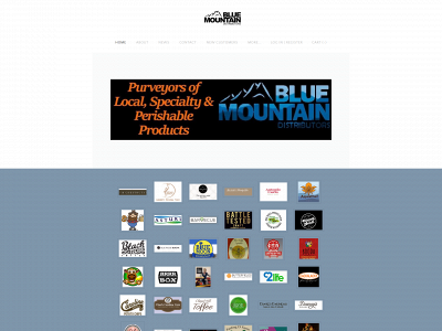 bluemountaindistributors.weebly.com snapshot