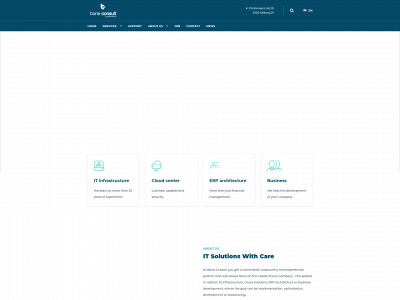 boneconsult.com snapshot