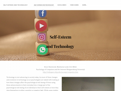 selfestandtech.weebly.com snapshot