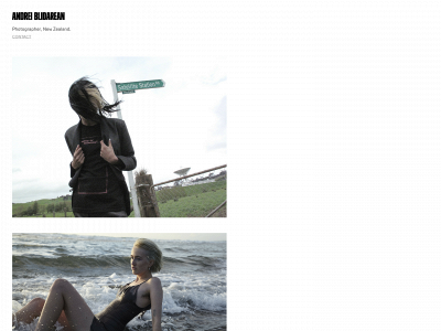 andreiblidarean.com snapshot