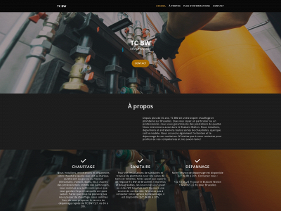 tcbw.be snapshot