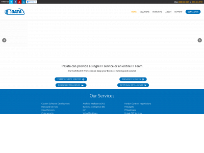 indataconsulting.com snapshot