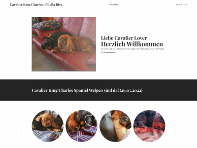 cavalierofbellariva.ch snapshot