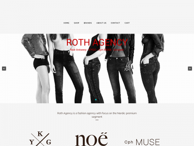 rothagency.dk snapshot