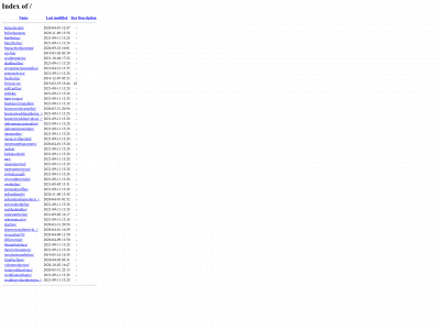 mustbebelize.com snapshot