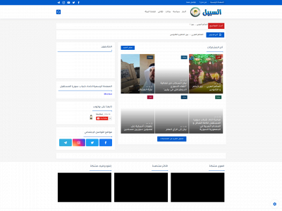 sy4future.com snapshot