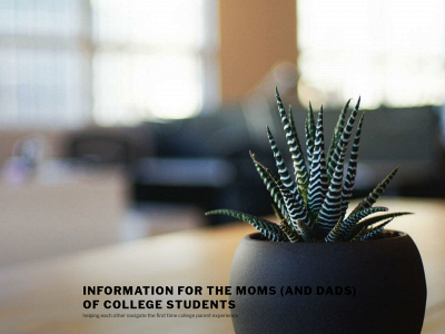 collegemomstuff.com snapshot