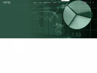 ashiagroup.com snapshot