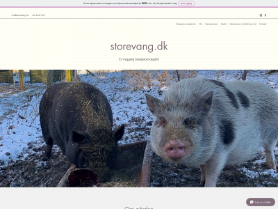 storevang.dk snapshot