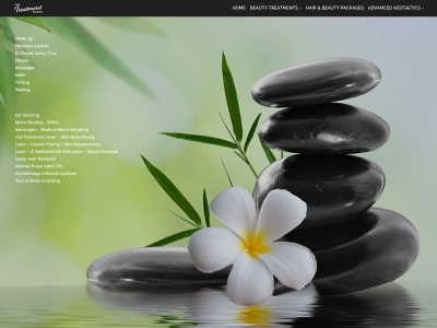 thetreatmentstudio.com snapshot