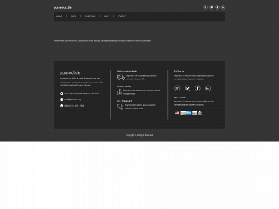 puasoul.de snapshot