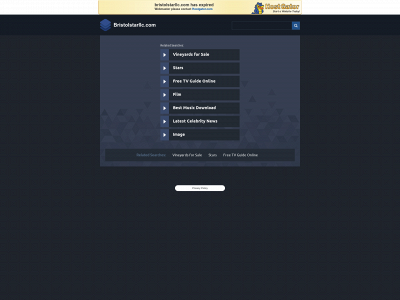 bristolstarllc.com snapshot