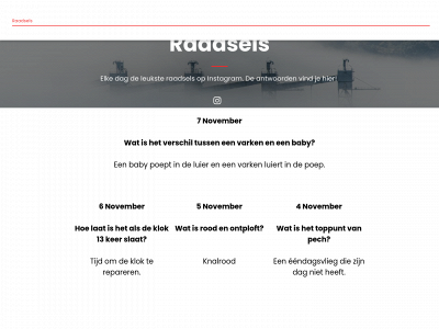raadsels.online snapshot