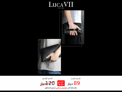 lucavii.com snapshot