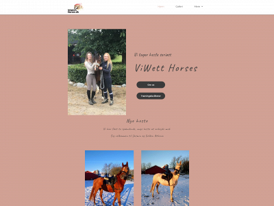 viwetthorses.dk snapshot
