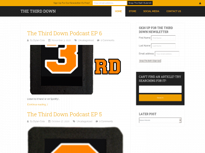 thethirddown.com snapshot