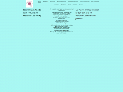 youllseeholisticcoaching.com snapshot