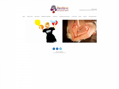 beehivephotographystudios.co.uk snapshot