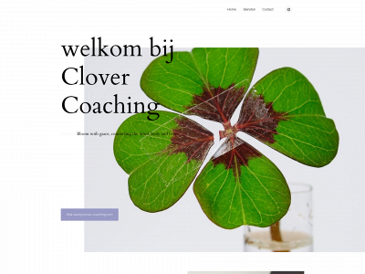 clover-coaching.com snapshot