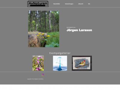 avnaturen.com snapshot