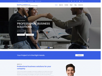 businesstradelinesllc.com snapshot