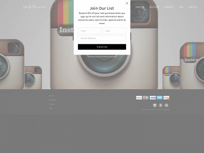 www.smfollowers.net snapshot