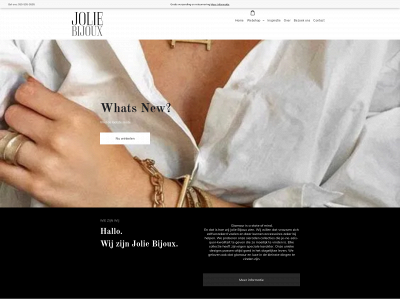 joliebijoux.nl snapshot