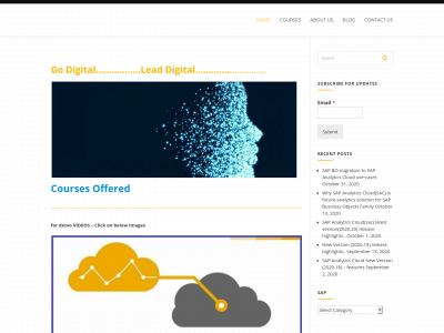 biacademi.com snapshot