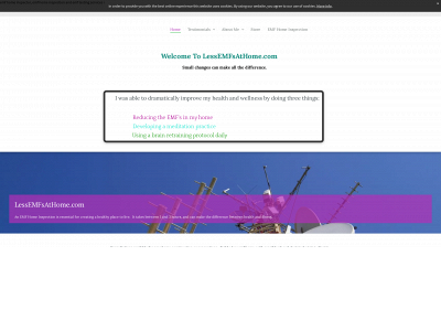 lessemfsathome.com snapshot