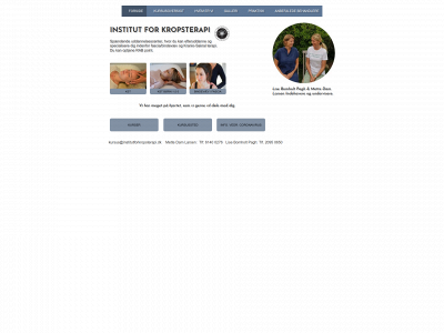 institutforkropsterapi.dk snapshot