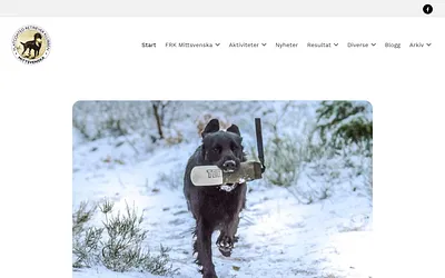 frkmittsvenska.se snapshot