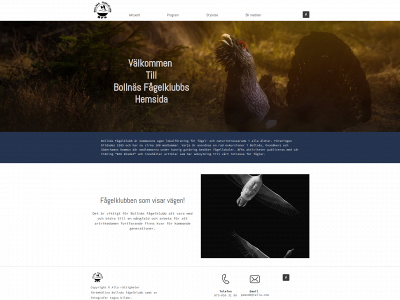 bollnasfagel.se snapshot
