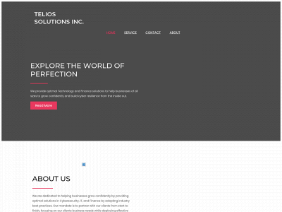 teliossolutions.com snapshot