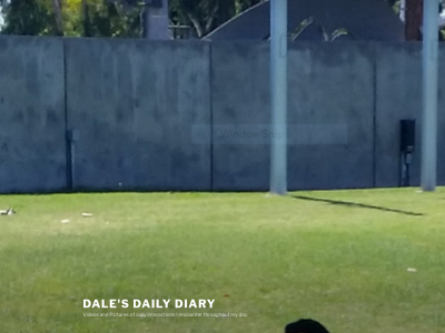dalesdailydiary.com snapshot