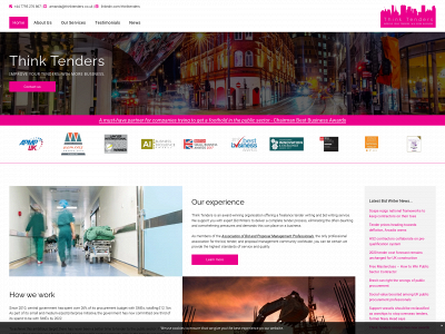 thinktenders.co.uk snapshot