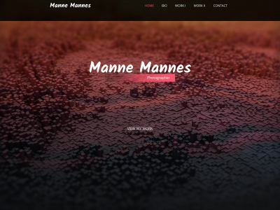 mannemannes.nl snapshot