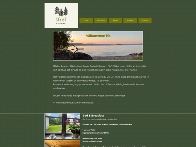 femettan.se snapshot