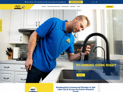 www.beehiveplumbing.com snapshot