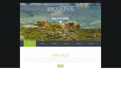 picolina.lt snapshot