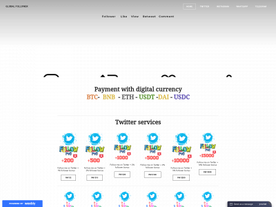 globalfollower.weebly.com snapshot
