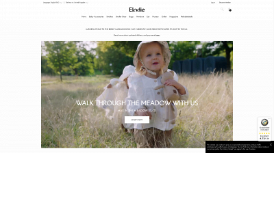elodiedetails.com snapshot