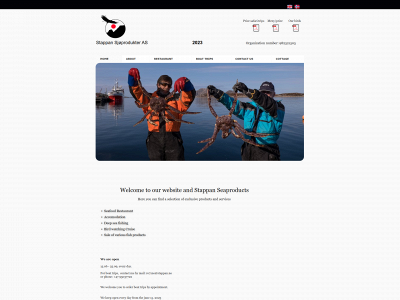 stappan.com snapshot