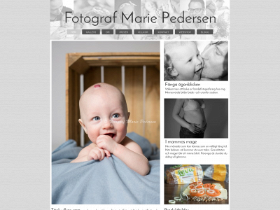 fotografmariepedersen.se snapshot