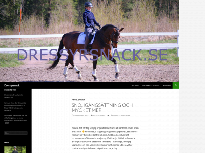 dressyrsnack.se snapshot