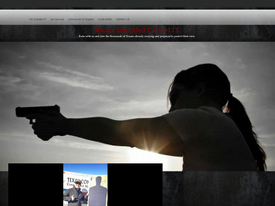 texasconcealedcarry.us snapshot