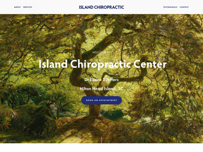 myhiltonheadchiropractor.com snapshot
