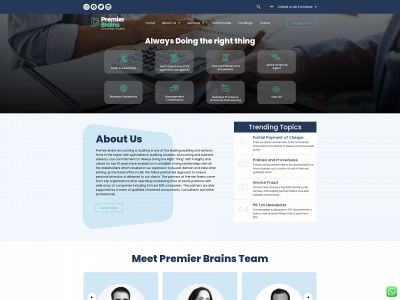 premier-brains.com snapshot
