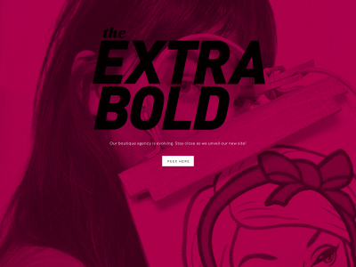 theextrabold.com snapshot