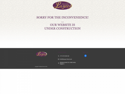 lazeez-food.com snapshot