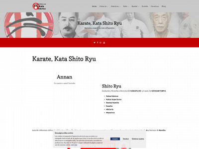 katashitoryu.com snapshot